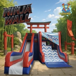 Ninja Wall 